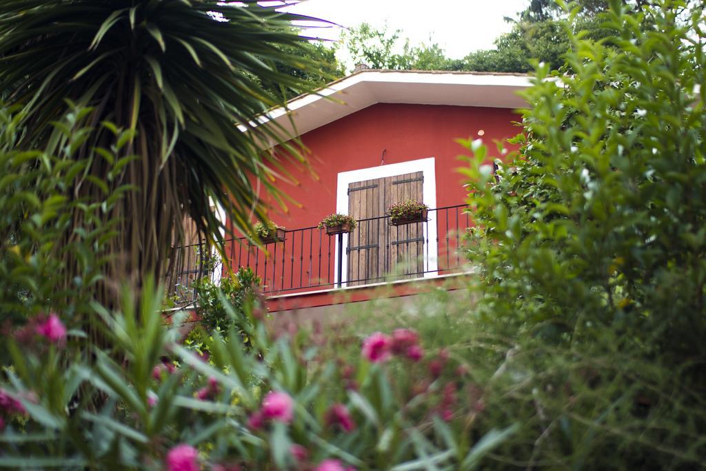 B&B Il Giardino Delle Camelie Palestrina Exterior photo